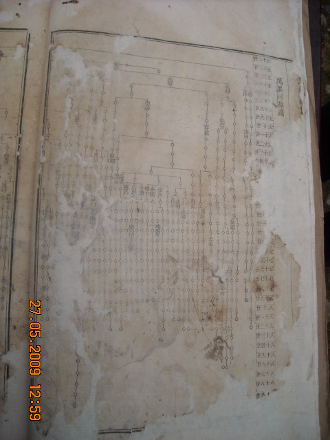 DSCN0597.JPG
