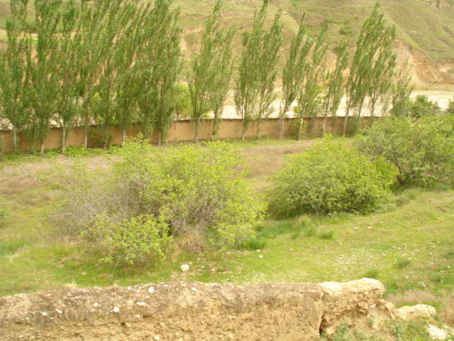 DSC02272.JPG
