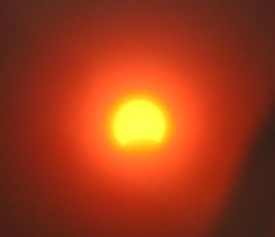IMG_0091.JPG