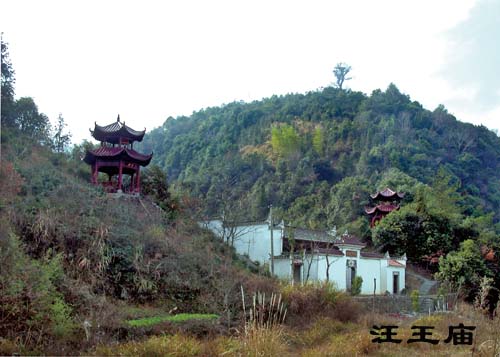 汪王像