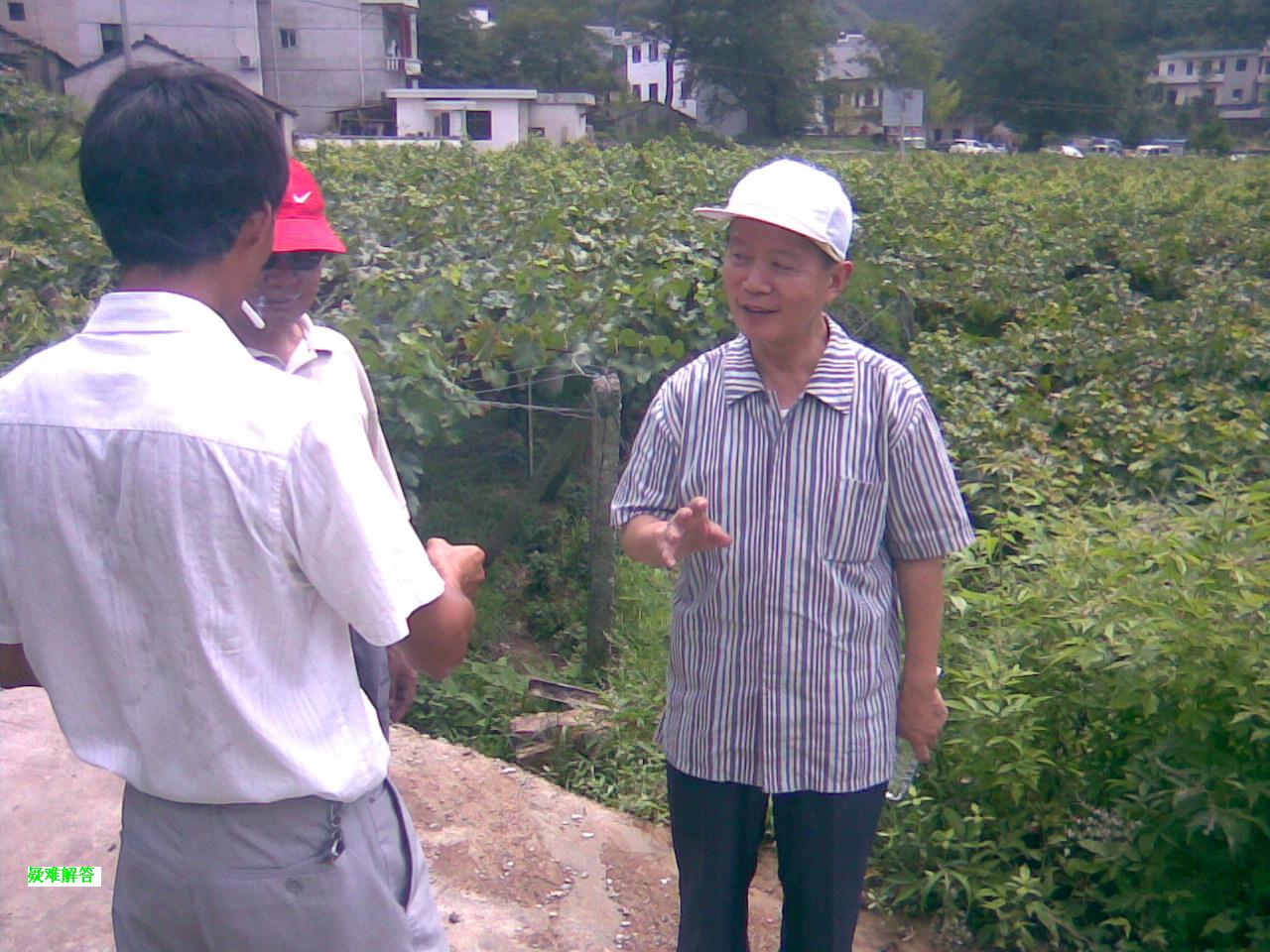 11葡萄沟里现场指导.jpg