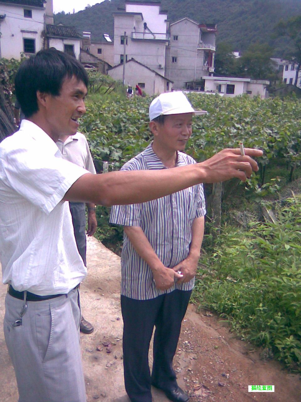 8原组委杨在乾听汇报.jpg