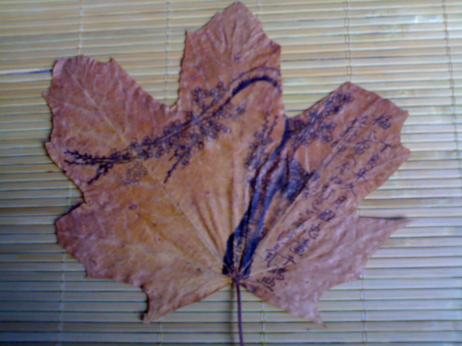 20080810244.jpg
