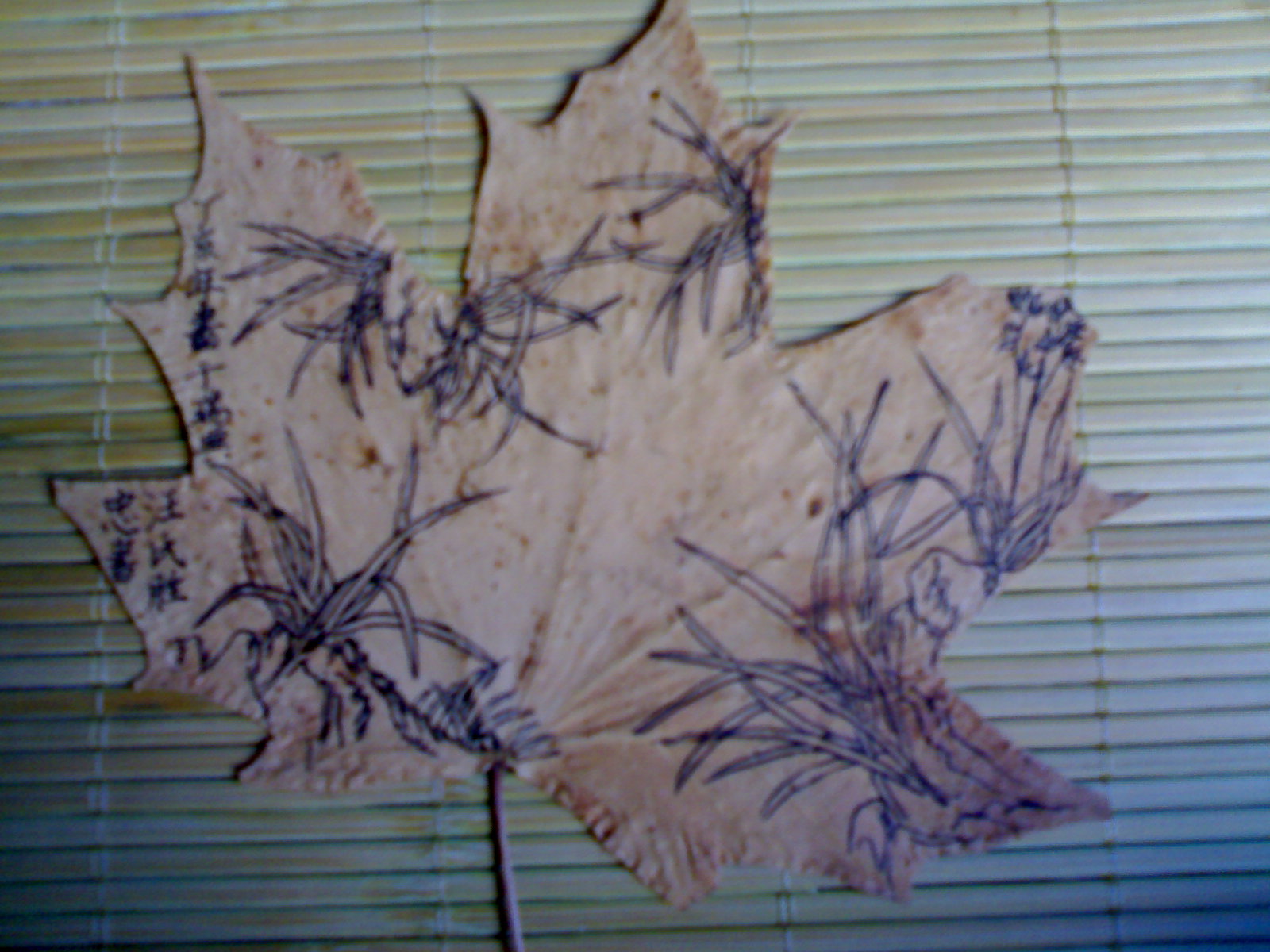 20080810245.jpg