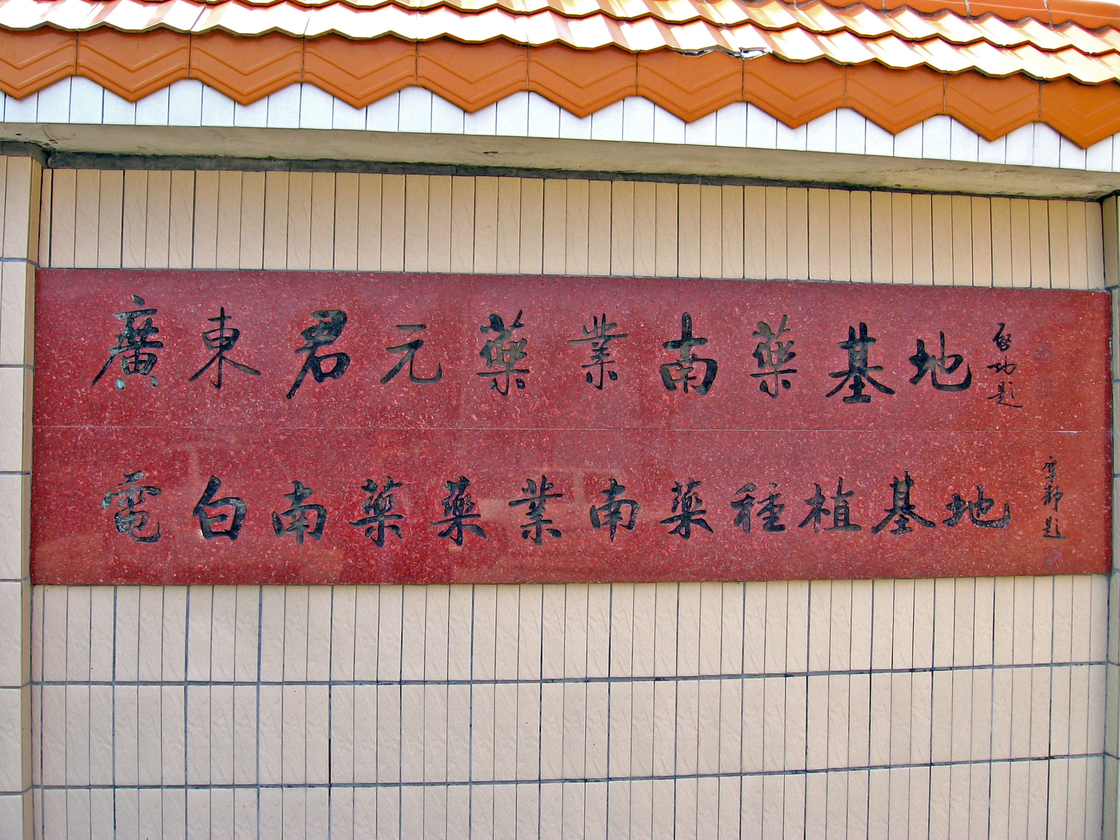 汪科元的沉香种植基地1.jpg