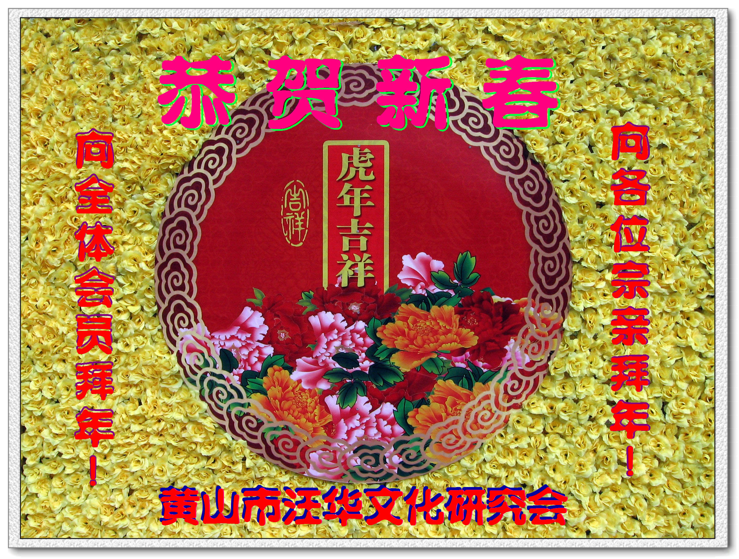 会员宗亲.jpg