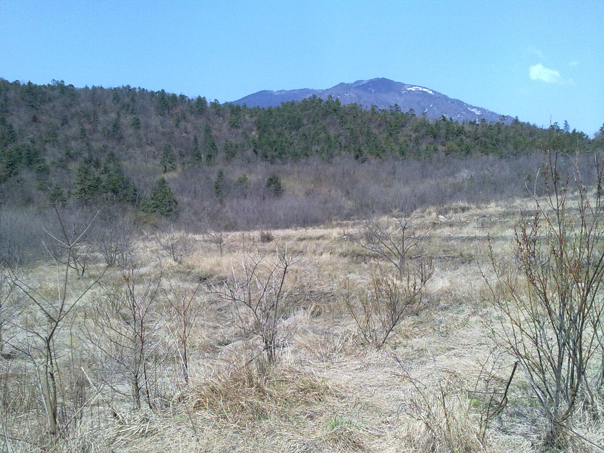 昔日田庄