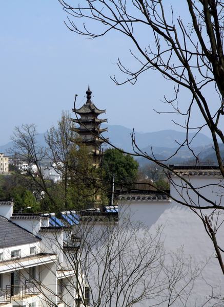 照片 1542.jpg