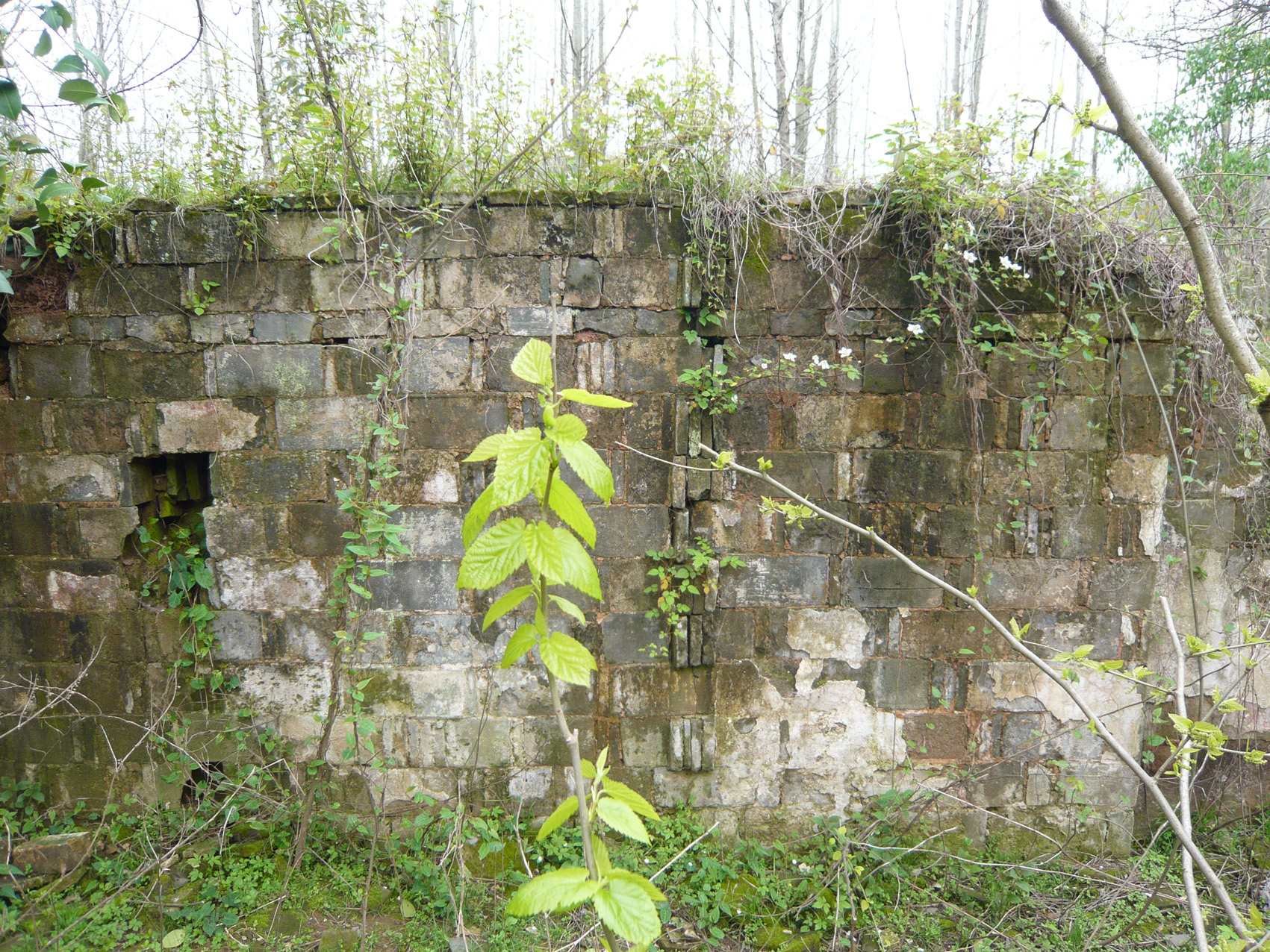 26E.jpg