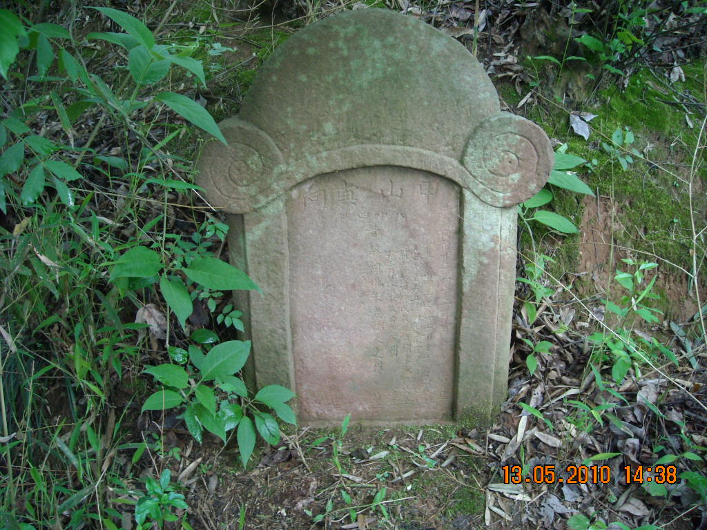 DSCN1554.JPG