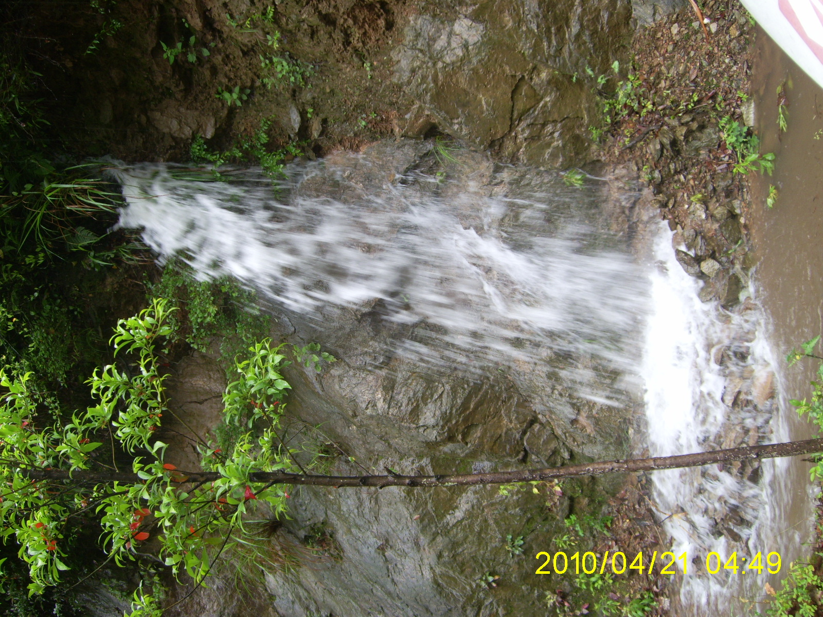 PIC_0093.JPG