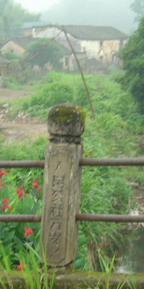DSC03421.JPG
