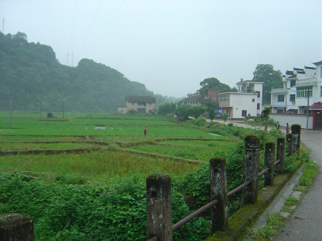 DSC03417.JPG