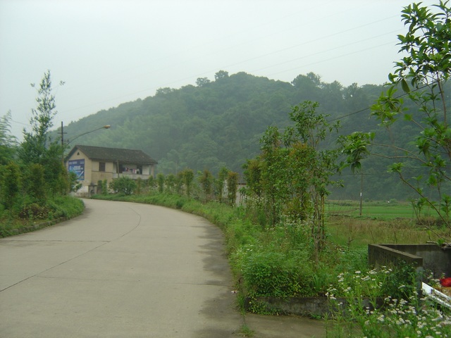 DSC03411.JPG