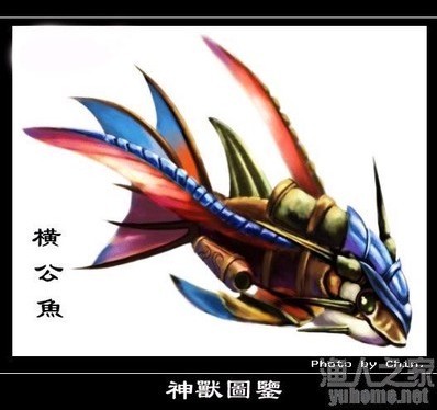 横公鱼