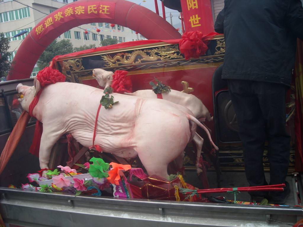 DSCN3478.JPG