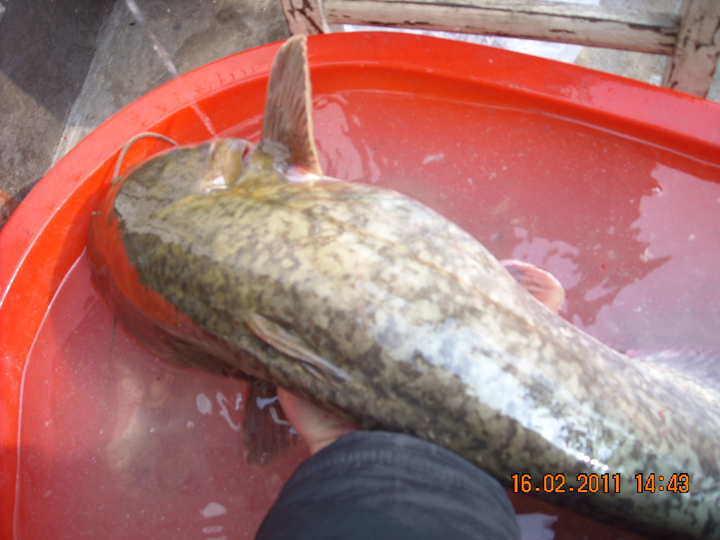 DSCN0722.JPG