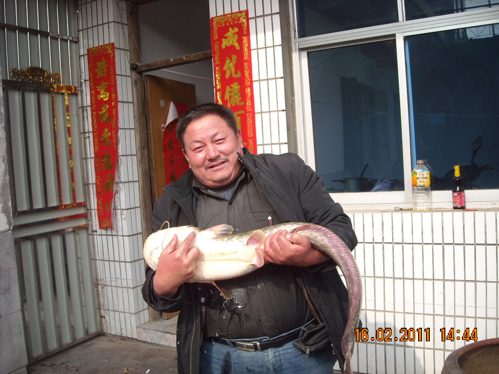 DSCN0727.JPG