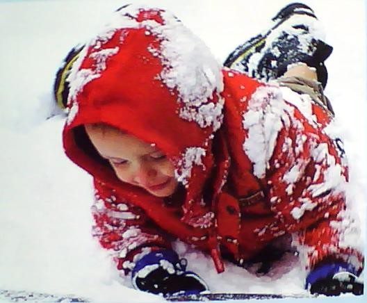 雪原童趣
