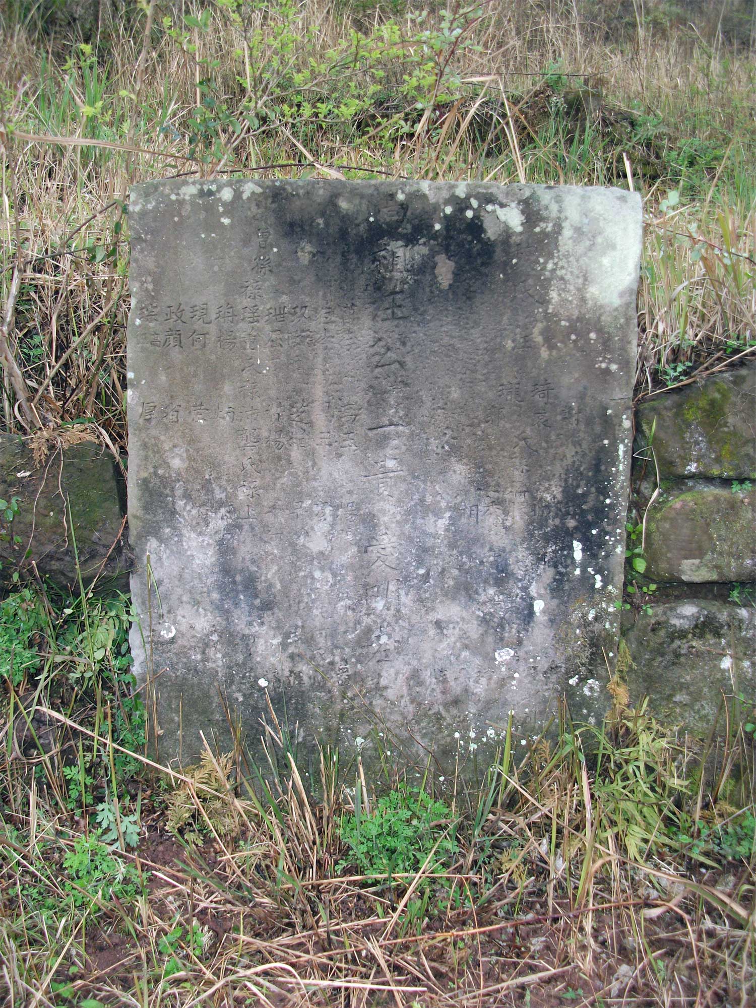 DSCF0842.jpg