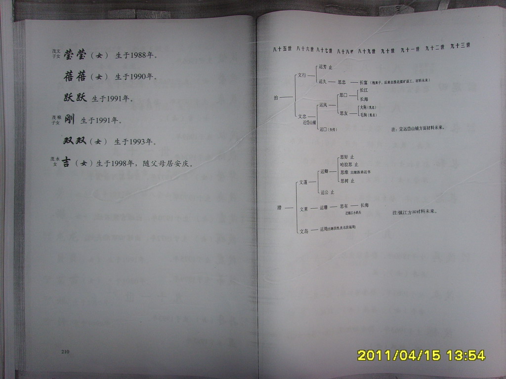 SSL26031.JPG