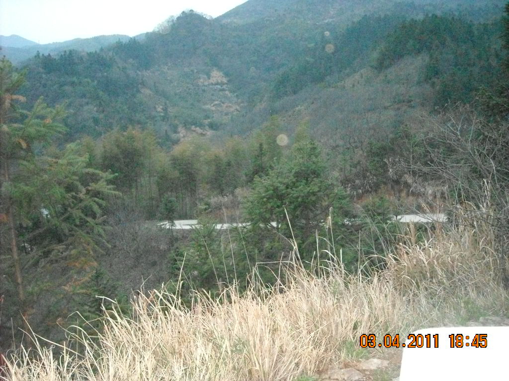 DSCN1453.JPG