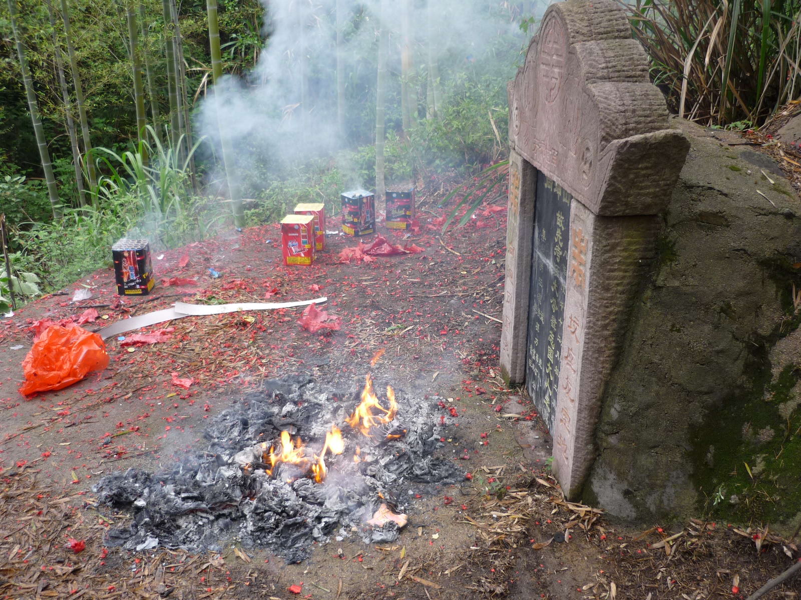 P1020540.JPG
