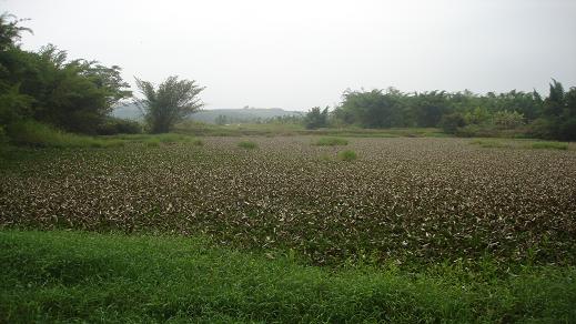 DSC02212.JPG