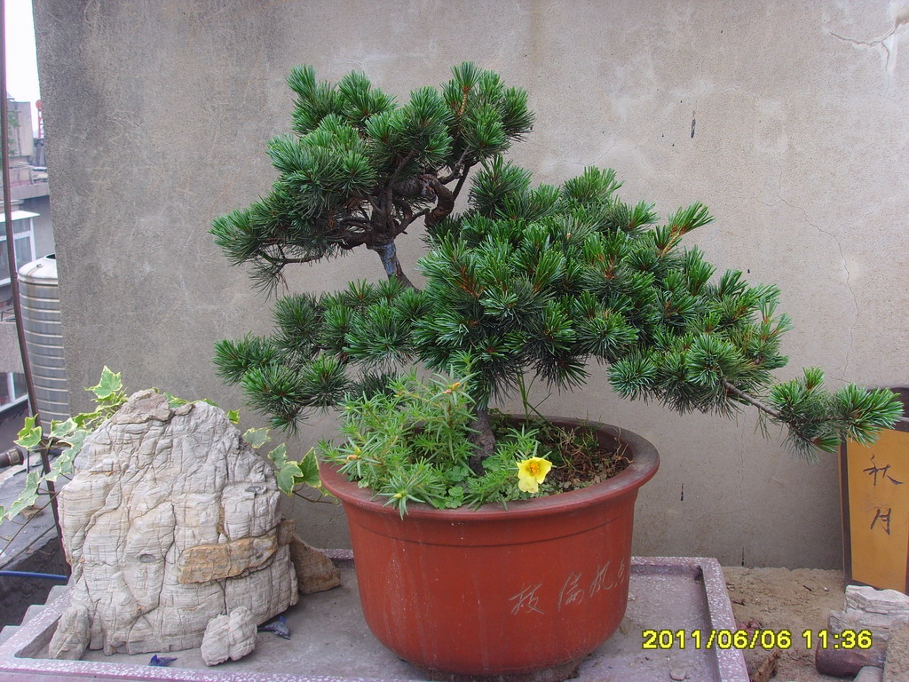 SSL26266.JPG
