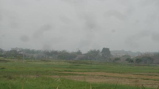 DSC02261.JPG