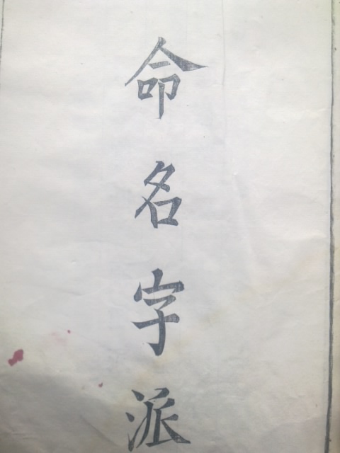 图像0317.jpg