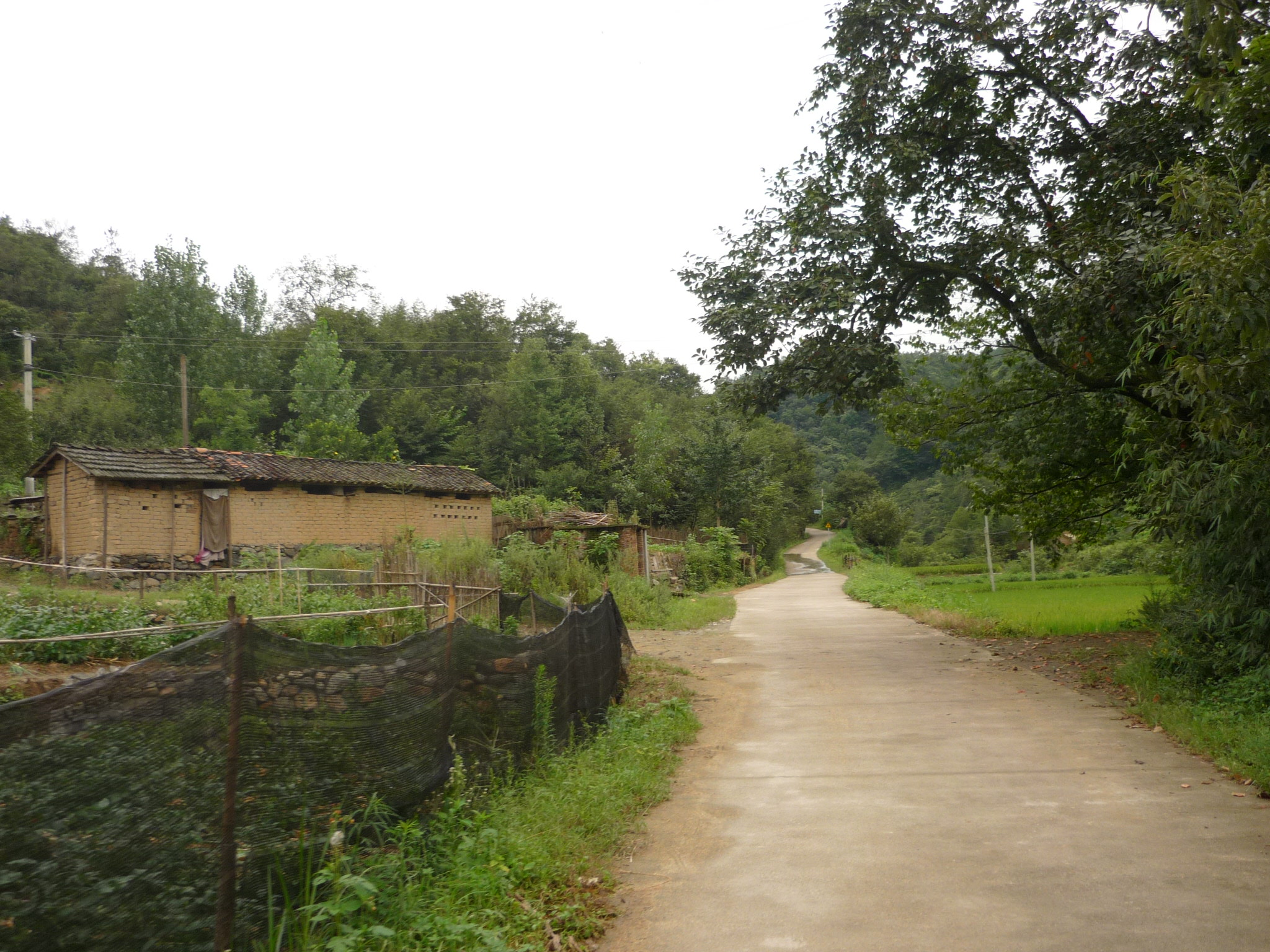 乡间小路