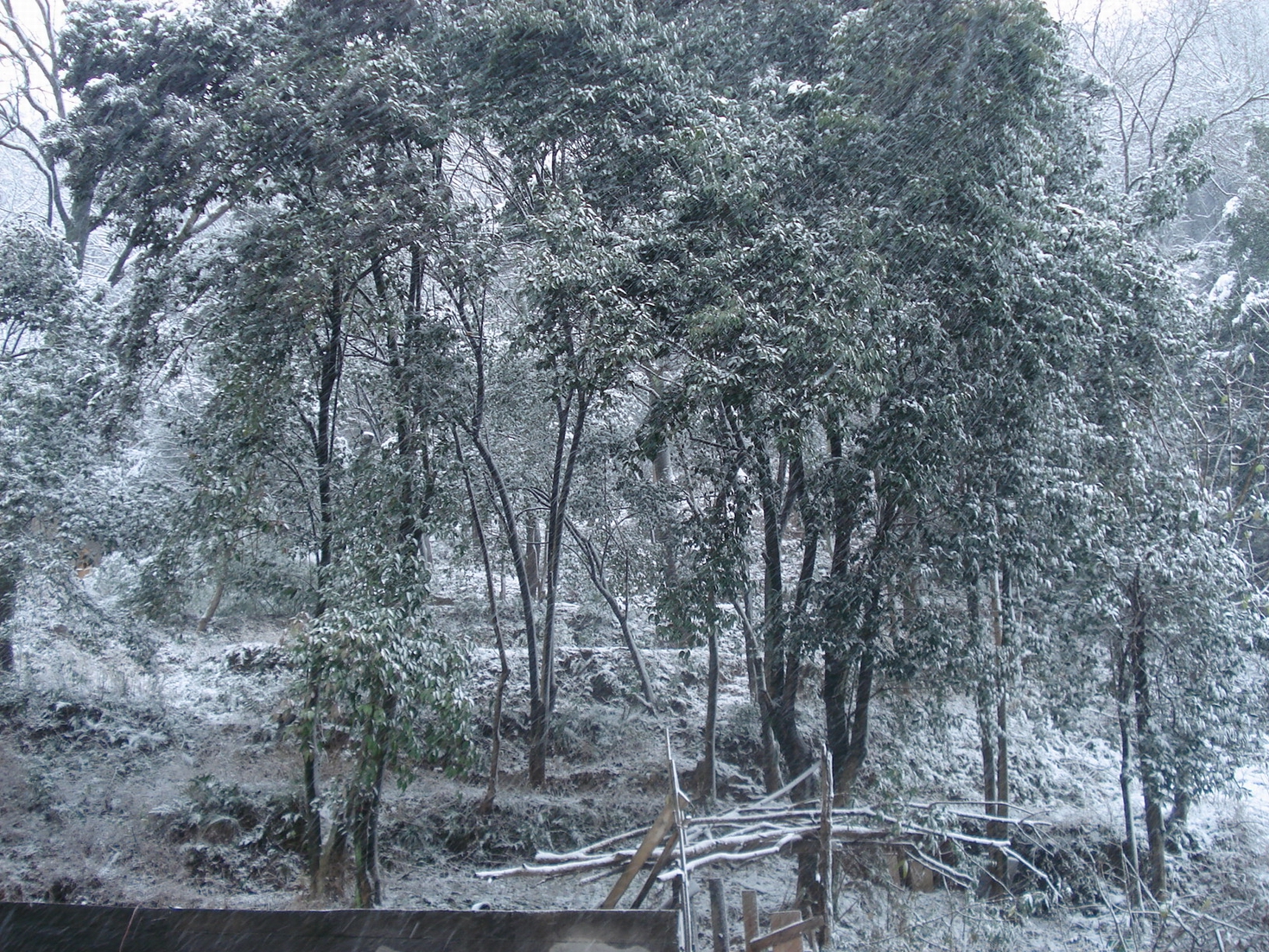 DSC07321.JPG
