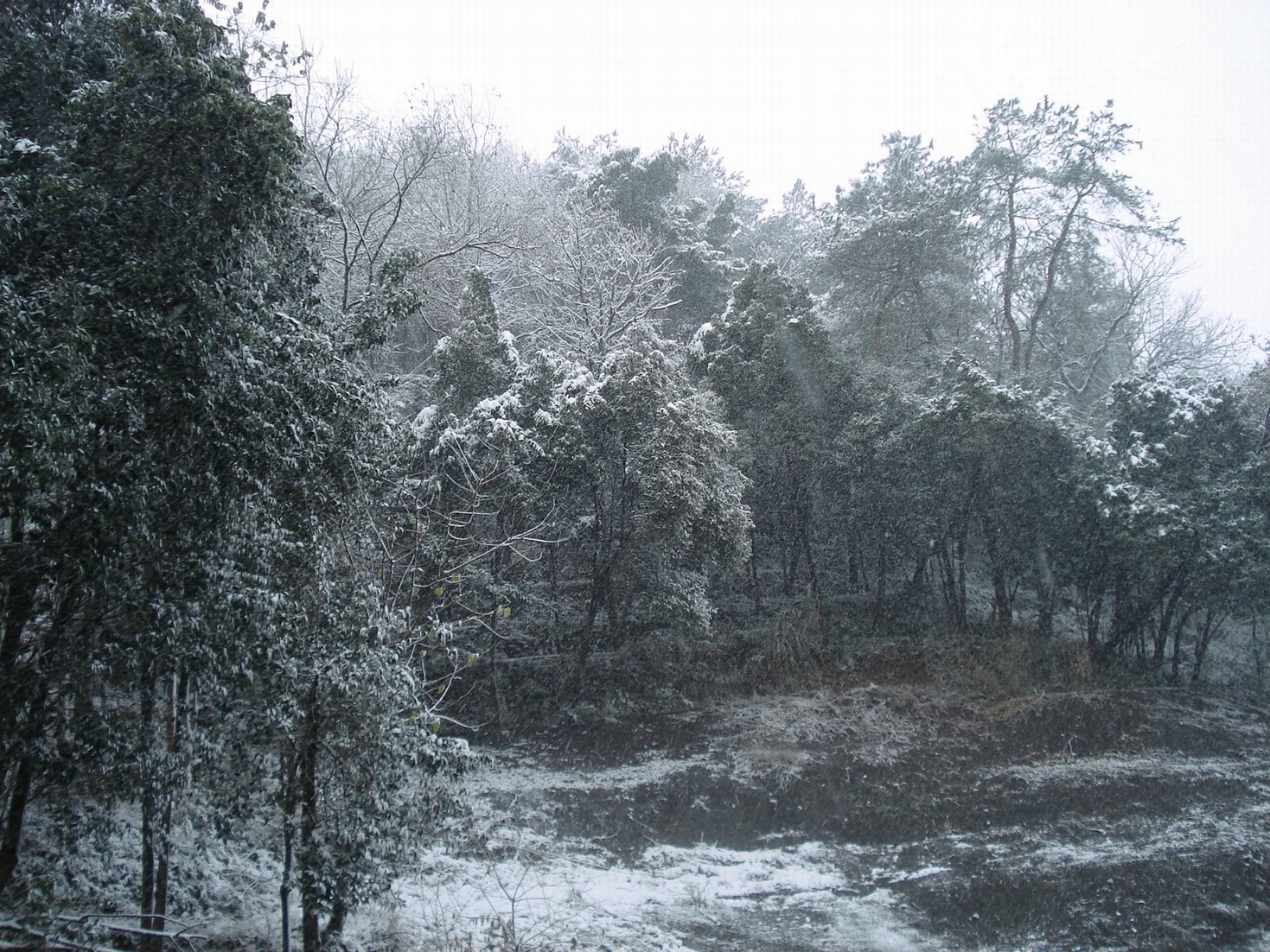 DSC07322.JPG