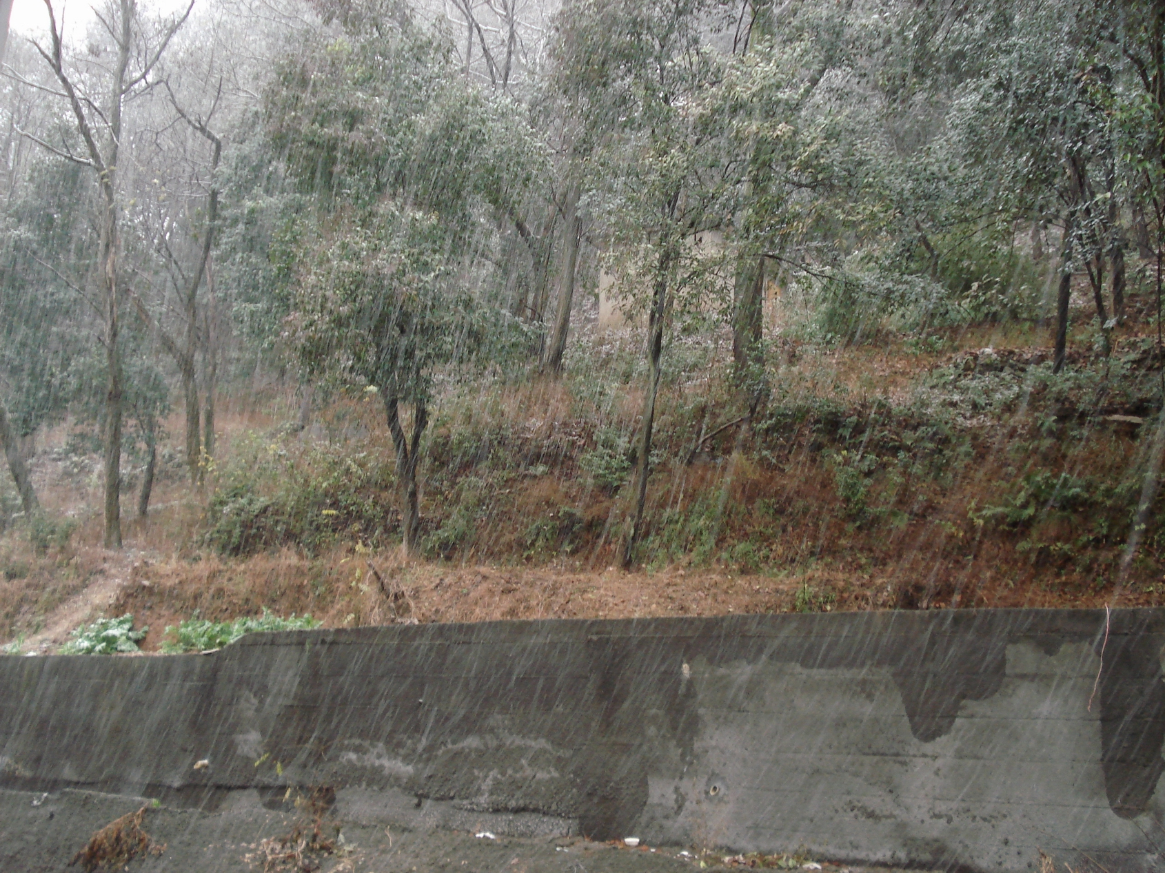 DSC07290.JPG