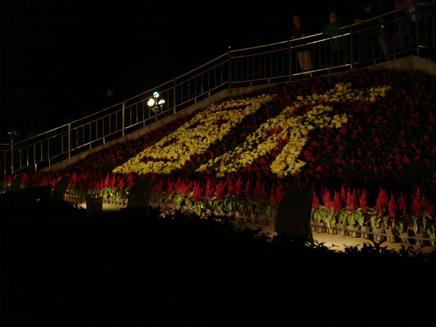 DSC04334.JPG