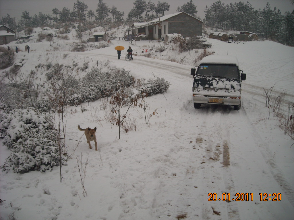 DSCN0508.JPG