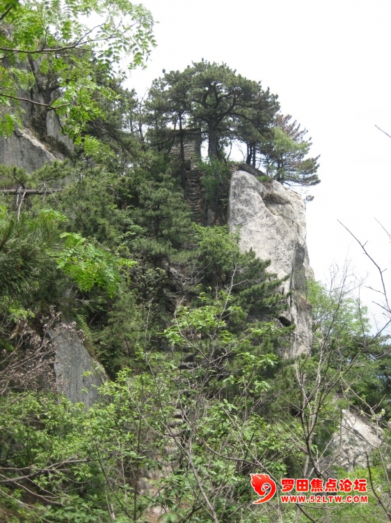 117_318_64215f28b0c3517.jpg