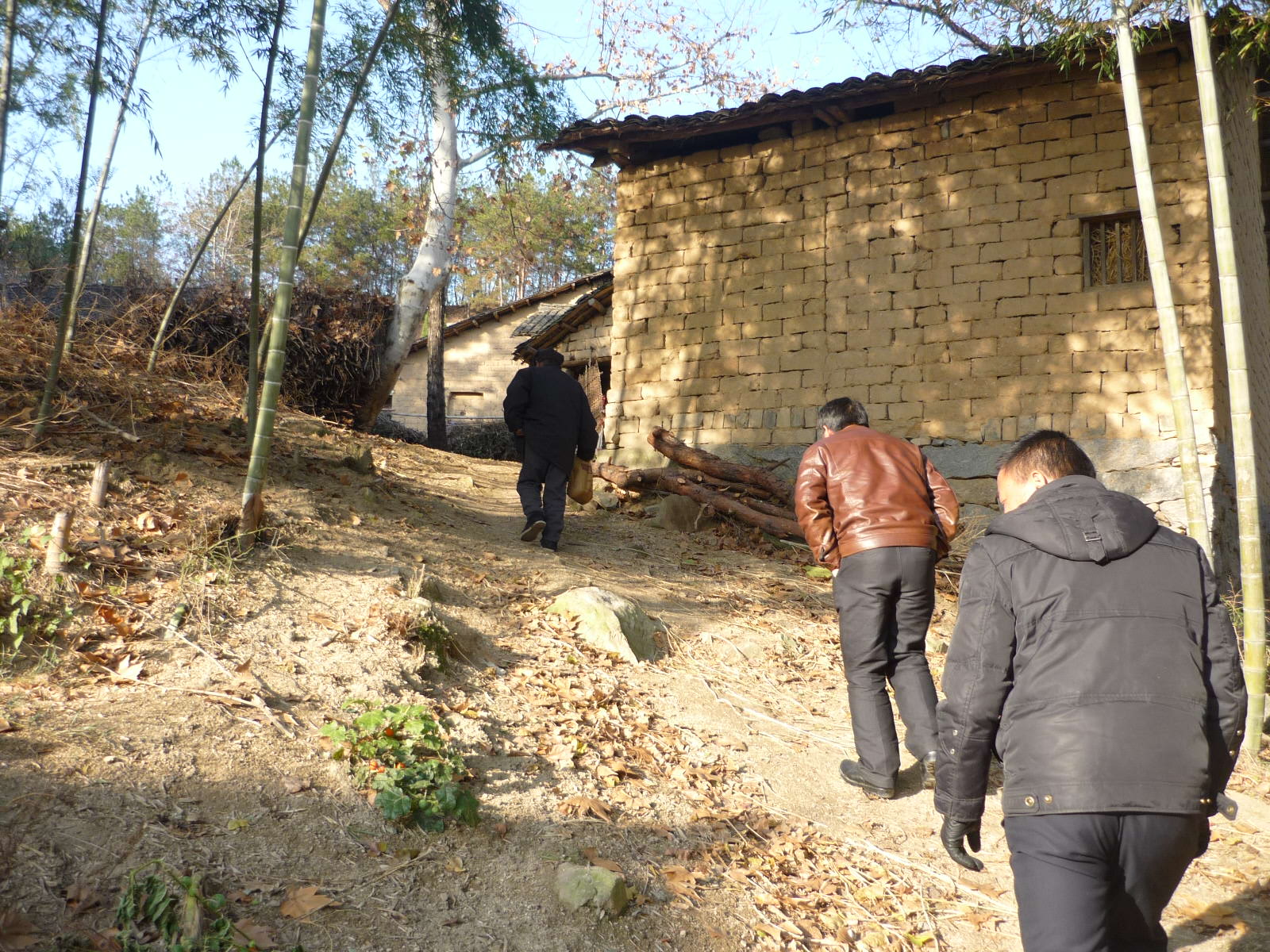 P1050388.JPG
