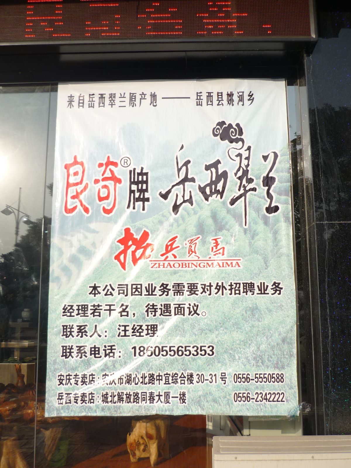 汪公明良奇茶