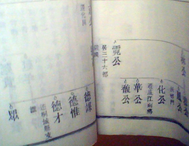 meitu_00026_副本.jpg