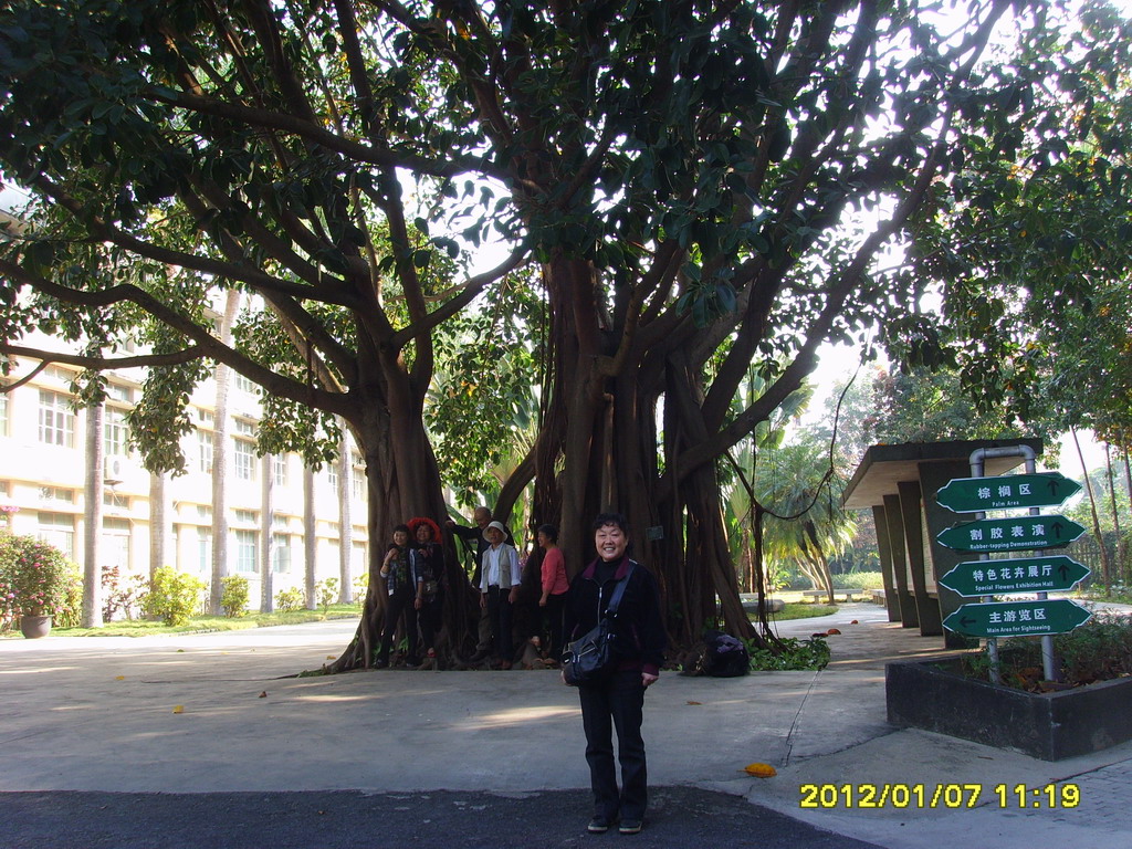 SSL27039.JPG