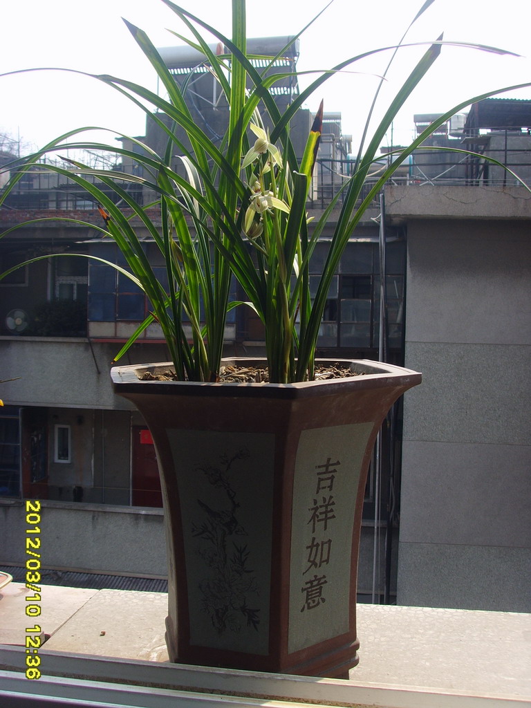 SSL27147.JPG
