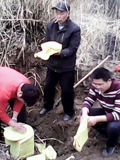 IMG0004A.jpg