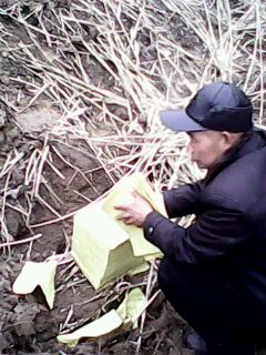 IMG0003A.jpg