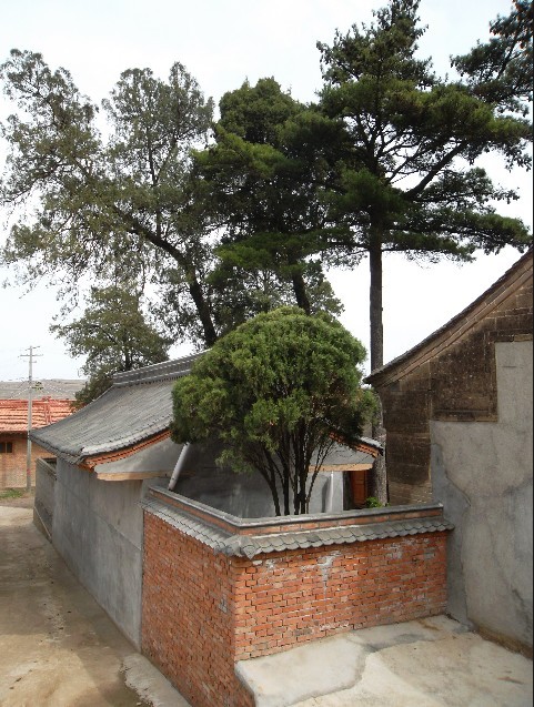 陇西7.jpg