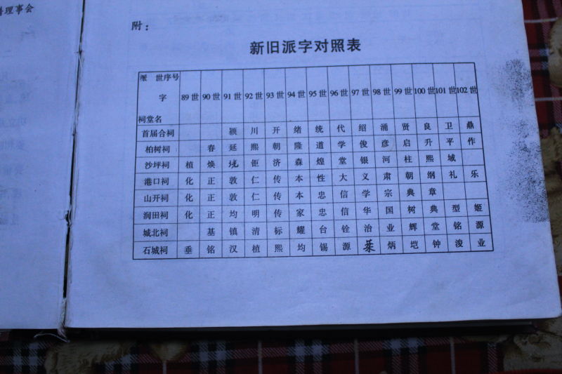 崇阳汪氏派系.jpg