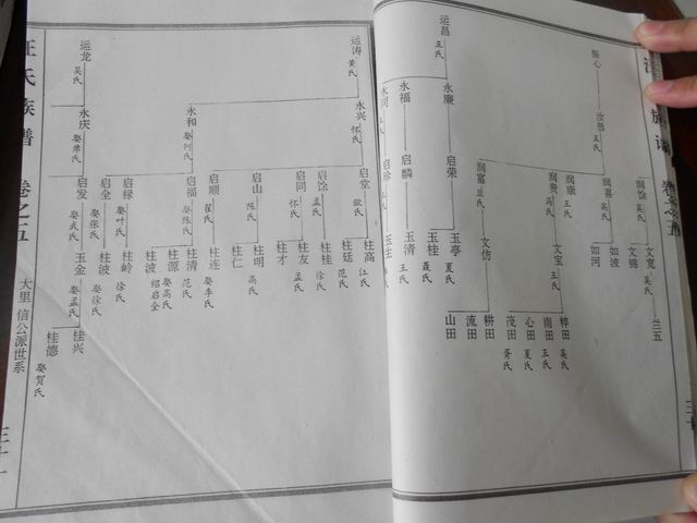 调整大小 DSCN0651.JPG