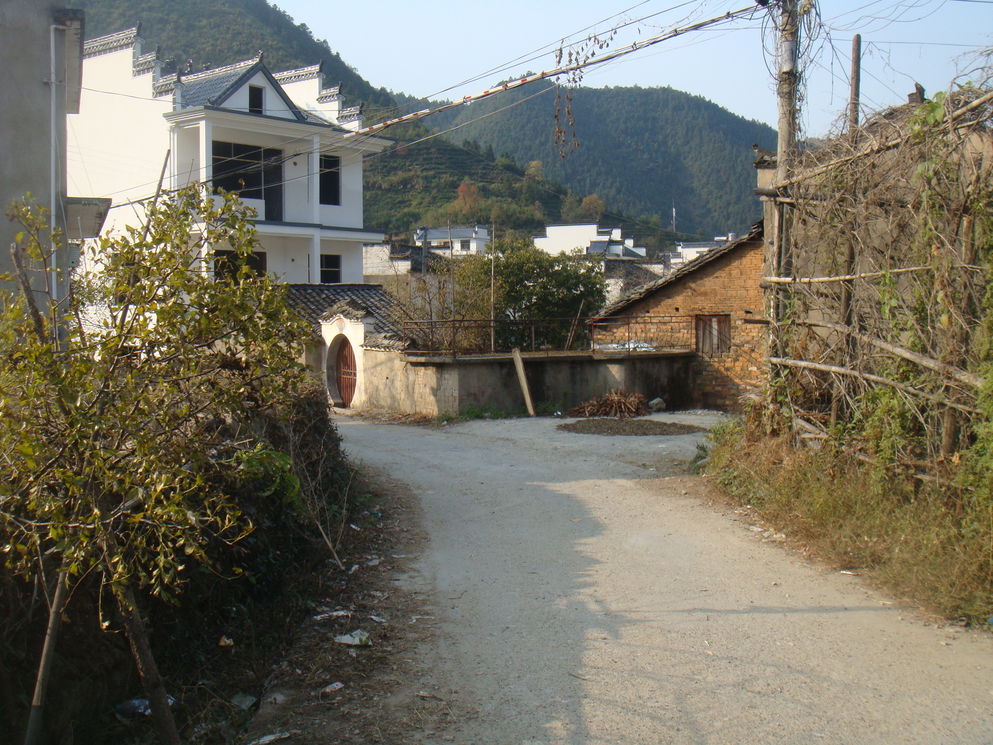 DSC06786.JPG
