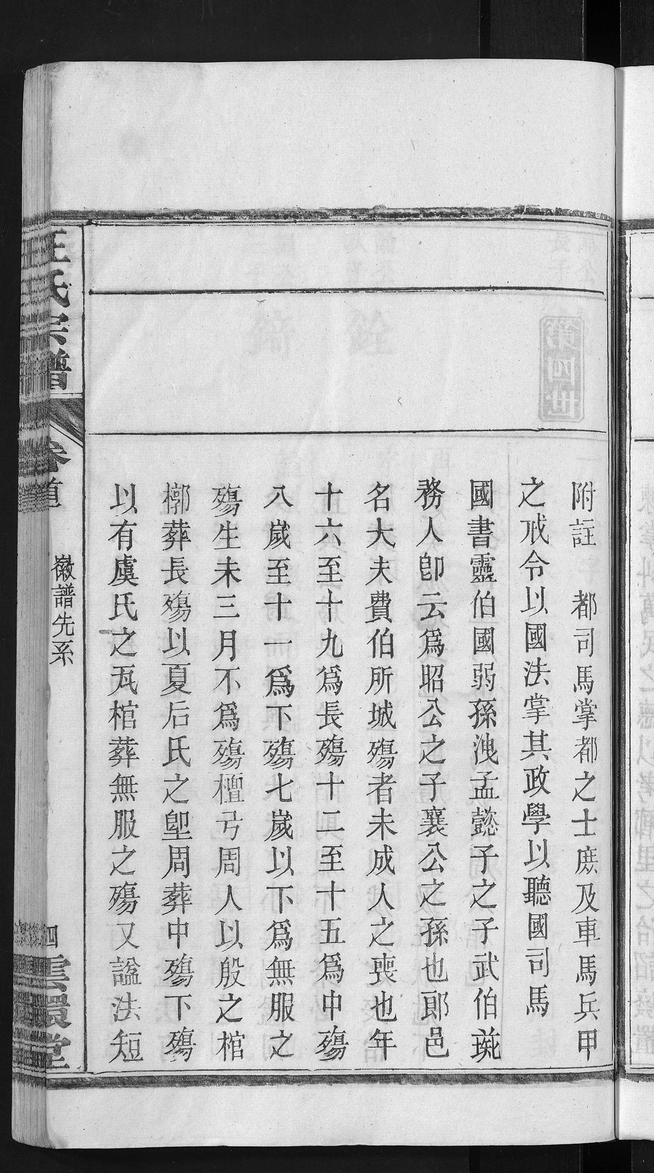 p12.jpg